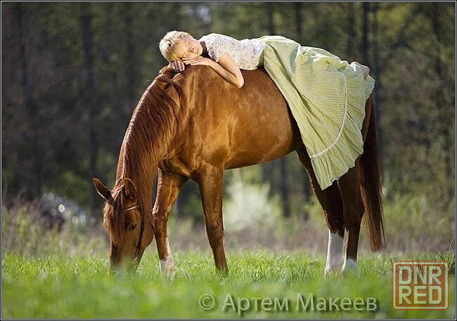 фотосессия с лошадью Макеевка - изображение 4