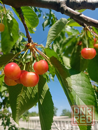 Продам от собственника дом за 3 млн.рублей Донецк - изображение 10