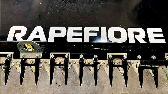 Рапсовый стол Sanfloro Rape Fiore Бердянск