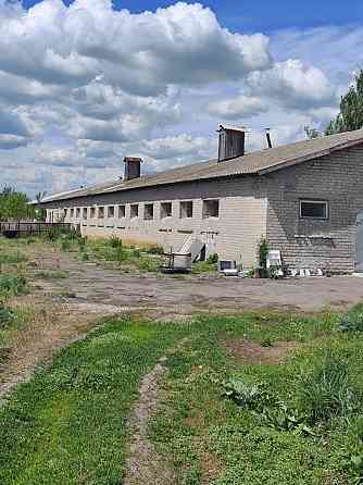 свинарник Донецк
