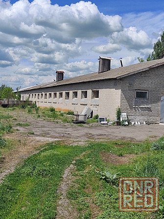свинарник Донецк - изображение 3