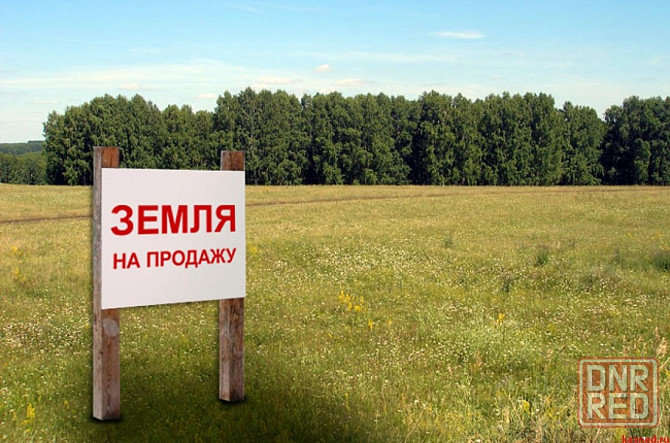 Продам приватизированный земельный участок 8,2 сот Макеевка - изображение 1