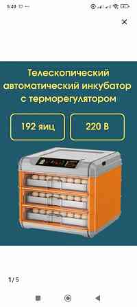 Автоматический инкубатор Донецк