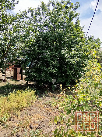 Продам дом. Старобешевский р-н. Село Стыла. Старобешево - изображение 9