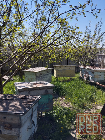 Продам дом Тельмановский р-н, с. Мичурино Тельманово - изображение 7