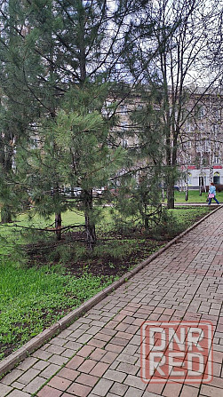 Продается 1-но комнатная квартира , ул.Университетская Донецк - изображение 1