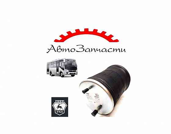 Пневмобаллоны для автомобилей паз "Вектор NEXT" (2016-) Донецк