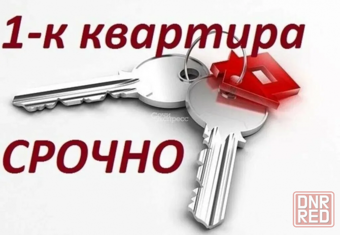 Продам 1 комнатную квартиру на Вазе Донецк - изображение 1