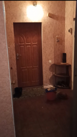 1-к девушки, 3/9, Цветочый Донецк