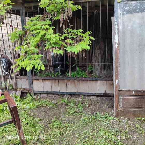 Продам дом Донецк