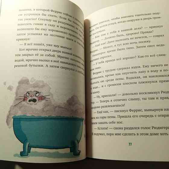 Детская книга "Феррис выходит из себя" Ирене Циммерман Мариуполь