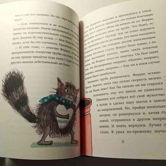 Детская книга "Феррис выходит из себя" Ирене Циммерман Мариуполь