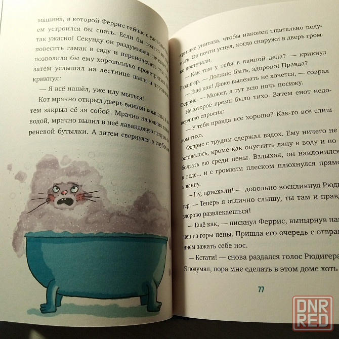 Детская книга "Феррис выходит из себя" Ирене Циммерман Мариуполь - изображение 3