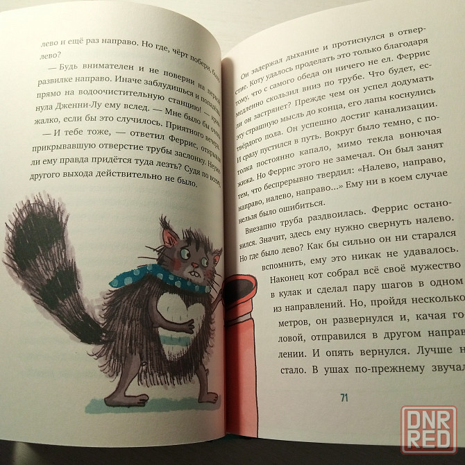 Детская книга "Феррис выходит из себя" Ирене Циммерман Мариуполь - изображение 2