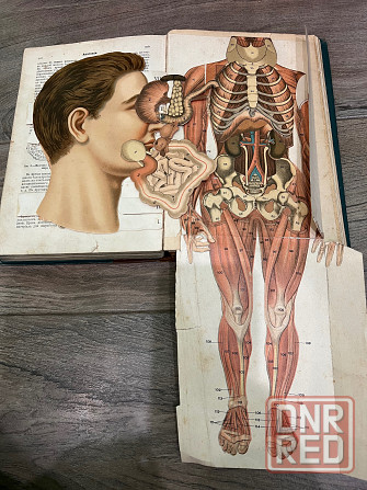 Энциклопедический словарь Гранат-33 тома Донецк - изображение 4
