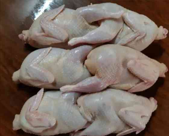 Мясо перепела тушки Макеевка