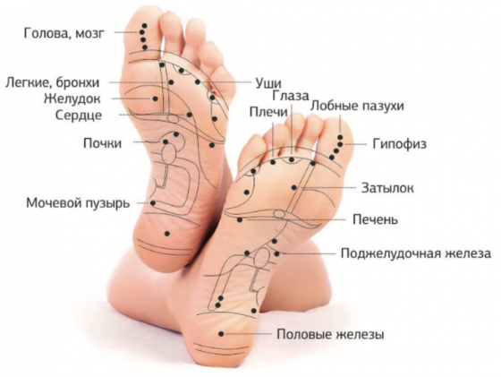 Массаж стоп рефлекторный Донецк