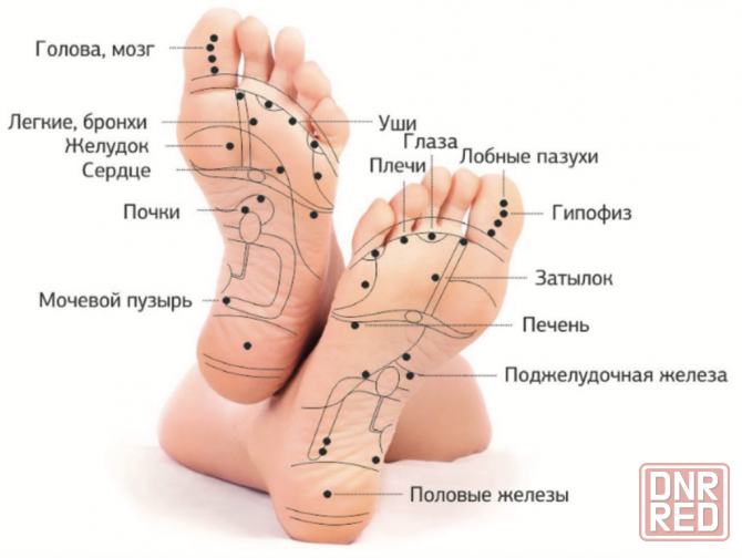 Массаж стоп рефлекторный Донецк - изображение 3