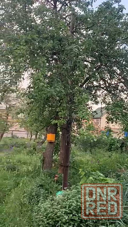 Участок 10 соток ижс,Куйбышевский р-н,Донецк Донецк - изображение 6