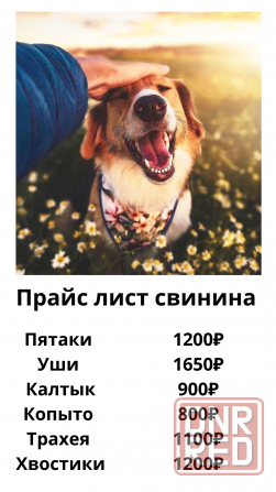 Натуральные лакомства для собак "Хрум Гав" Донецк - изображение 4