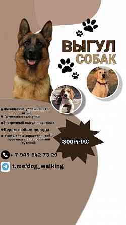 Выгул собак Макеевка
