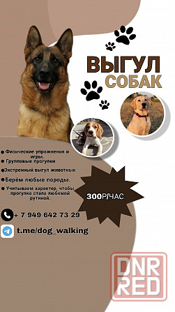 Выгул собак Макеевка - изображение 1