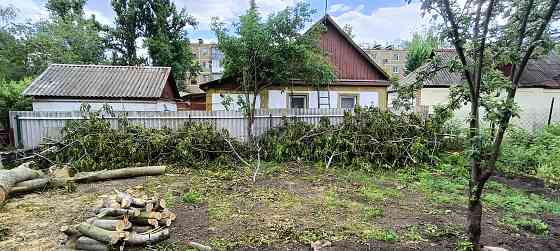 Спил Деревьев Донецк