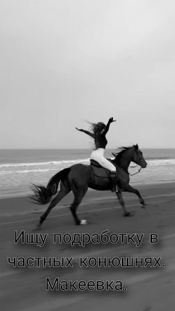 Ищу подработку в частных конюшнях. Макеевка