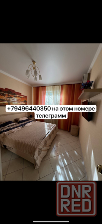 Продам красивую малышку Макеевка - изображение 3