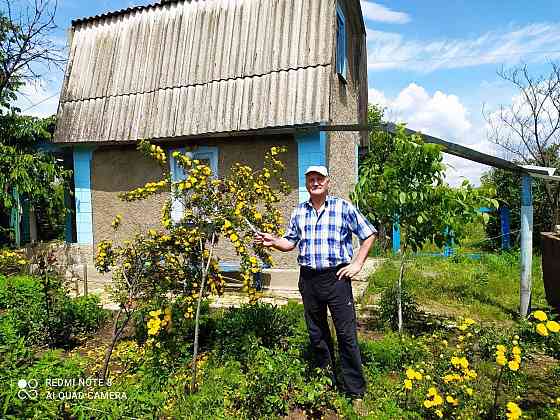 Дача, с.Обильное, Старобешевский район, 6 соток Донецк