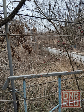 Продажа. Дом на дачном участке. Направление Старобешево Старобешево - изображение 4