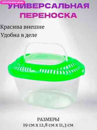 Отдам крыс Донецк