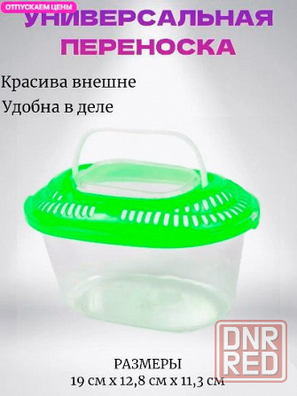 Отдам крыс Донецк - изображение 3