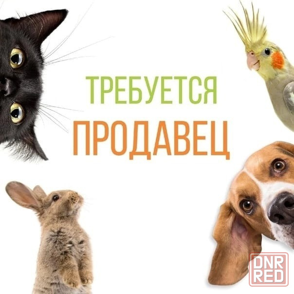 Требуется продавец-консультант в зоомагазин! Донецк, Набережная. Донецк - изображение 1