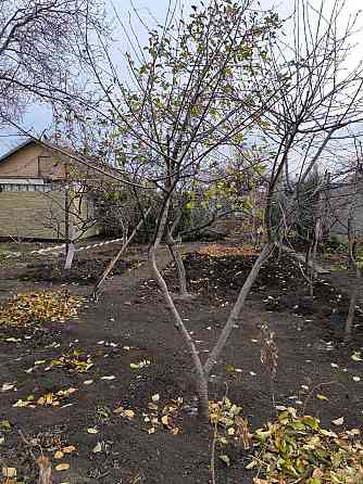 Продам, газифицированный дом , Макеевка, 29-я линия Макеевка