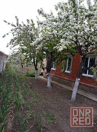 дом пгт Ялта днр Донецк - изображение 9