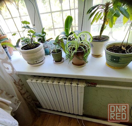 Продам 4к.квартиру на земле. Кировский р-н. больничный городок. ул.кирова. Донецк - изображение 8