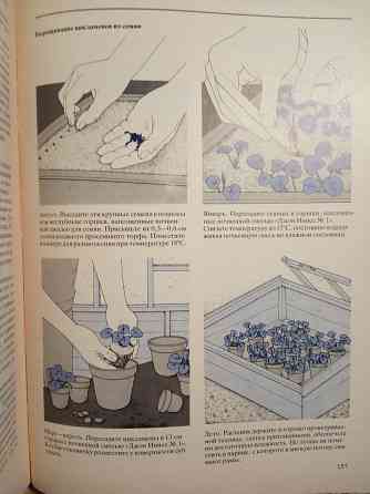 Книги Дом, Дача Донецк