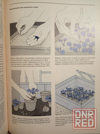 Книги Дом, Дача Донецк - изображение 6