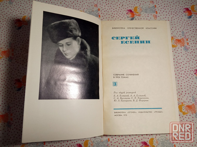 Сергей Есенин Донецк - изображение 5