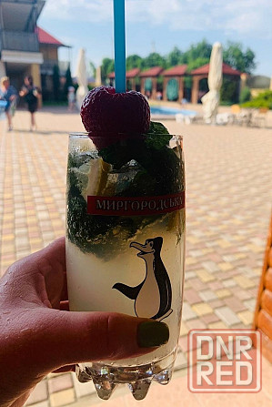 Предлагается к продаже гостевой дом, GUEST HOUSE "RIVIERA", расположеный в живописном месте Донецк - изображение 6