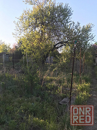 Продам дачу в петровском районе, Каргилл Донецк - изображение 10