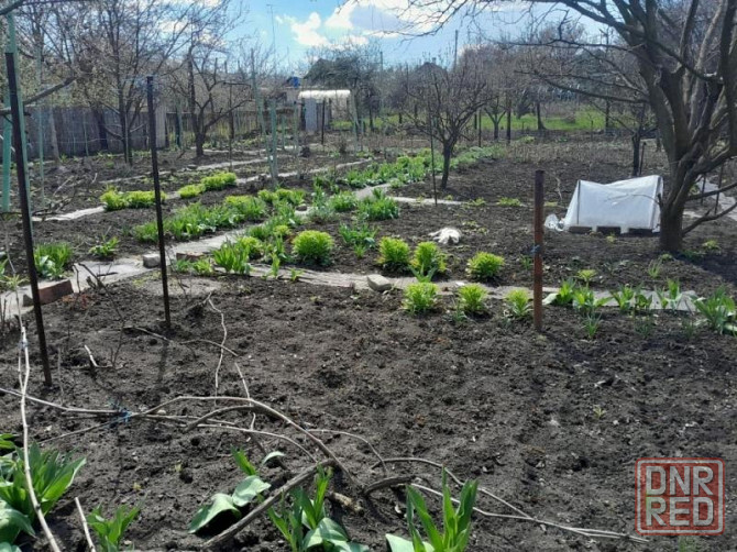 Продается трехкомнатный дом в Горняцком районе, ул.Огородняя Макеевка - изображение 8