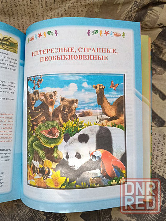 энциклопедия мир животных Донецк - изображение 3