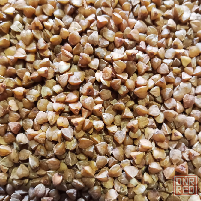 Оборудование по переработке гречихи Донецк - изображение 1