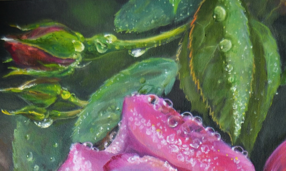 Картина маслом "Роза в капельках росы", живопись, картина с цветами, капельки росы на цветах и листь Донецк