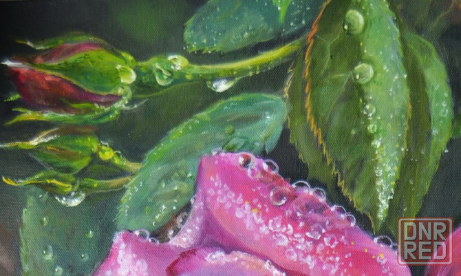 Картина маслом "Роза в капельках росы", живопись, картина с цветами, капельки росы на цветах и листь Донецк - изображение 3