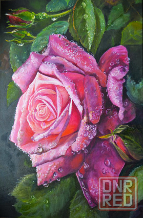 Картина маслом "Роза в капельках росы", живопись, картина с цветами, капельки росы на цветах и листь Донецк - изображение 1