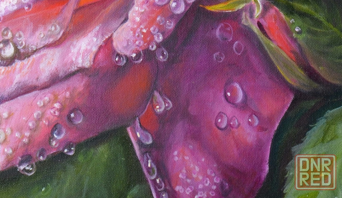 Картина маслом "Роза в капельках росы", живопись, картина с цветами, капельки росы на цветах и листь Донецк - изображение 2