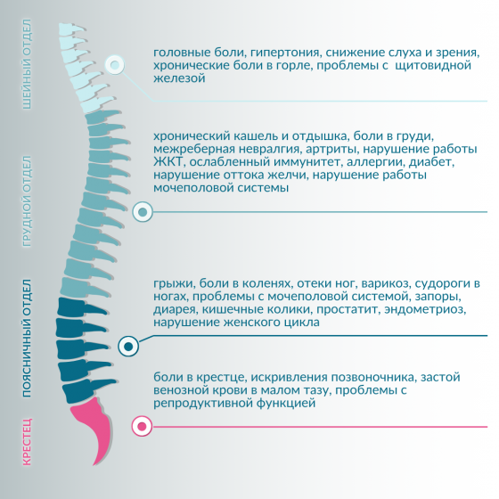 Не ходите на массаж, пока не попробуете наш метод. Донецк